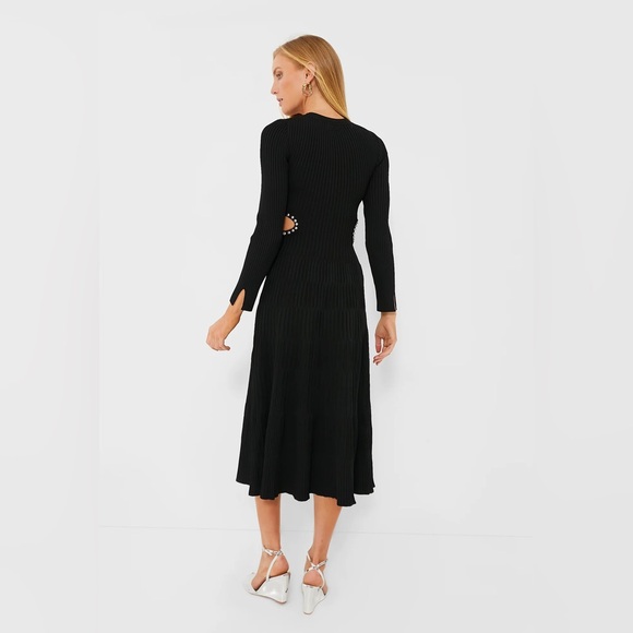 Moon River midi dress tuckernuck - Picture 2 of 4